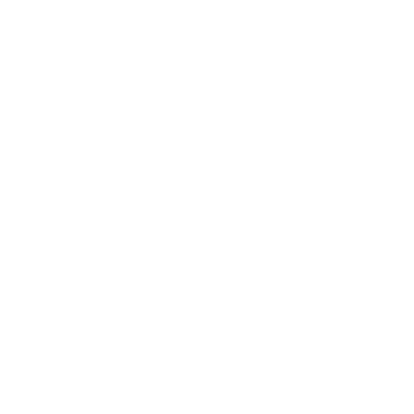 MAAAV logo
